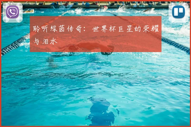 聆听绿茵传奇：世界杯巨星的荣耀与泪水