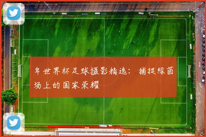年世界杯足球摄影精选：捕捉绿茵场上的国家荣耀