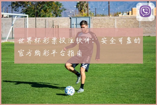 世界杯彩票投注软件：安全可靠的官方购彩平台指南
