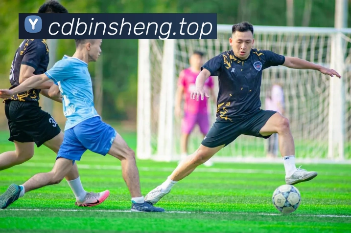 米兰app入口品牌故事